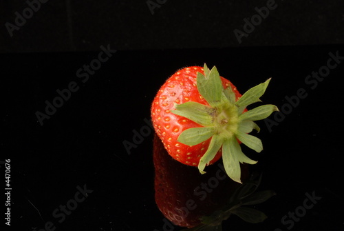fragola fragola