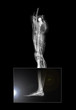Leg and Ankle X-ray