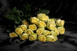yellow roses