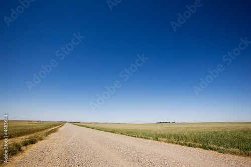 Prairie Gravel Road