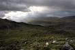Irlande Irlande