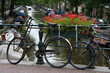 vélo et fleur à Amsterdam