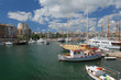 The Zea marine in Piraeus
