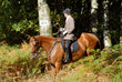 cavalier de chasse à courre en sortie de bois