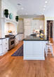 beautiful expensive kitchen with white cabinets