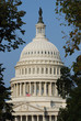 Capitol in Washington DC