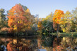 Indian summer 1