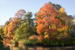 Indian summer 2