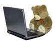 teddy with pc teddy with pc