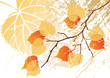 September leaves background