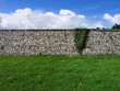 mauer und efeu