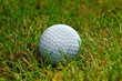 In the rough 2