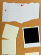 Bulletin Board