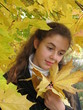 The young girl with yellow leaves in an autum