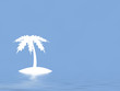 palm
