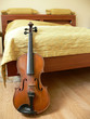 Violin in room