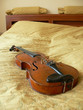Violin in room