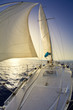 Photo: sail boat sail boat