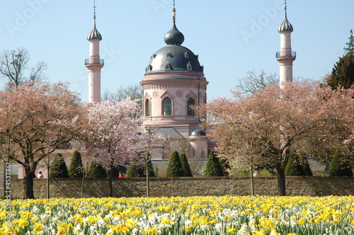 schwetzinger schlossgarten schwetzinger schlossgarten