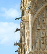 Gargouilles Reims Cathédrale