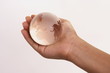 Globe showing the world
