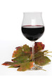 Rotwein Herbst