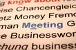 Meeting