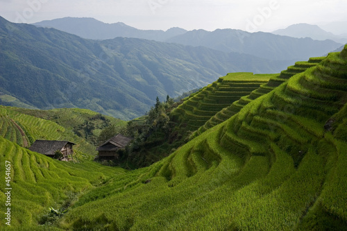 Longji terraces