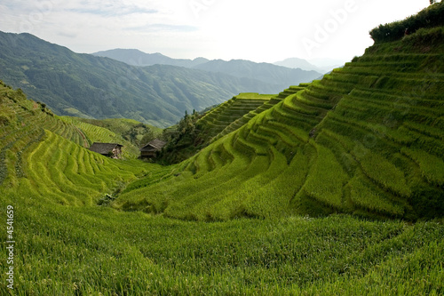Longsheng rice terraces Longsheng rice terraces