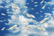 Raining money from the bly sky!