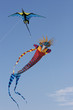 Drachen05