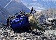 Kea