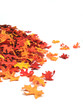 pile of autumn leaves