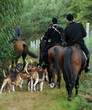 meute de chiens et cavaliers meute de chiens et cavaliers