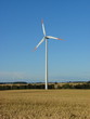 Wind turbine on a hilly field