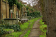 Brompton Cemetery in London, UK