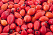 Rose Hip