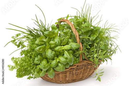 Foto: Basket of Herbs Basket of Herbs