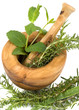 Herbs