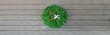horticulture banner