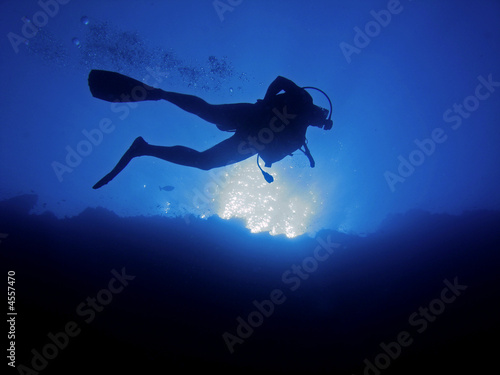 Scuba Diver From Below