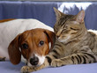snuggle time-rb