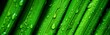 horticulture banner