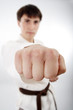 fist