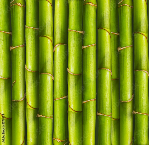 bamboo wallpaper. Bamboo background