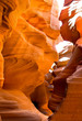 Canyon Walls