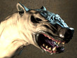 Photo: Werewolf head Werewolf head