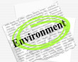 environment