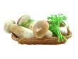 Ceps