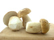 Mushrooms